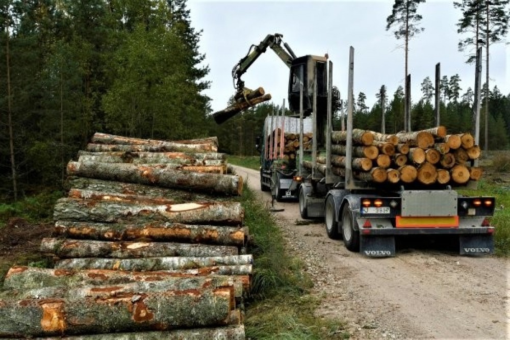 Iepērkam kokmateriālus pie ceļa